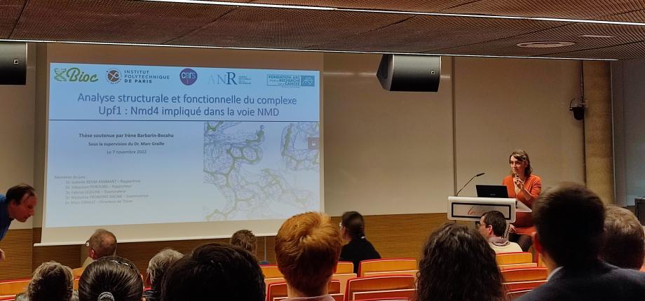 In-house seminars : Teams Gautreau (Artem FOKIN) and Graille (Yueshuang KE)
