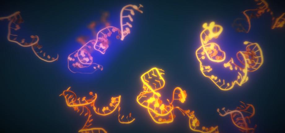 BioSystèmes Synthétiques  (SyBioS)