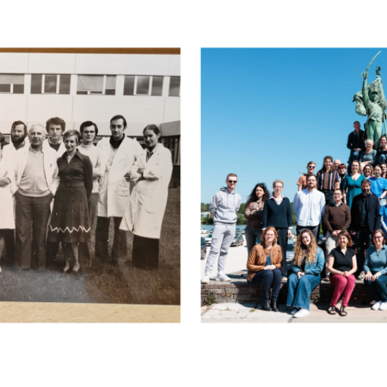 Au laboratoire BIOC, 50 ans de recherche en biologie moléculaire et cellulaire