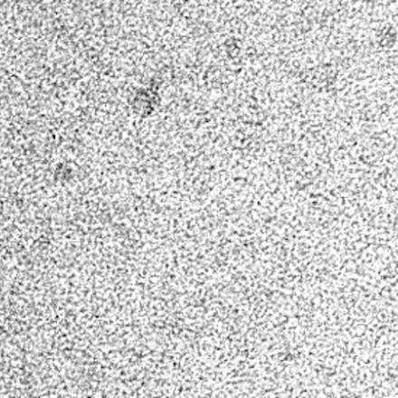 Sécrétion des exosomes : au-delà de la simple fusion membranaire
